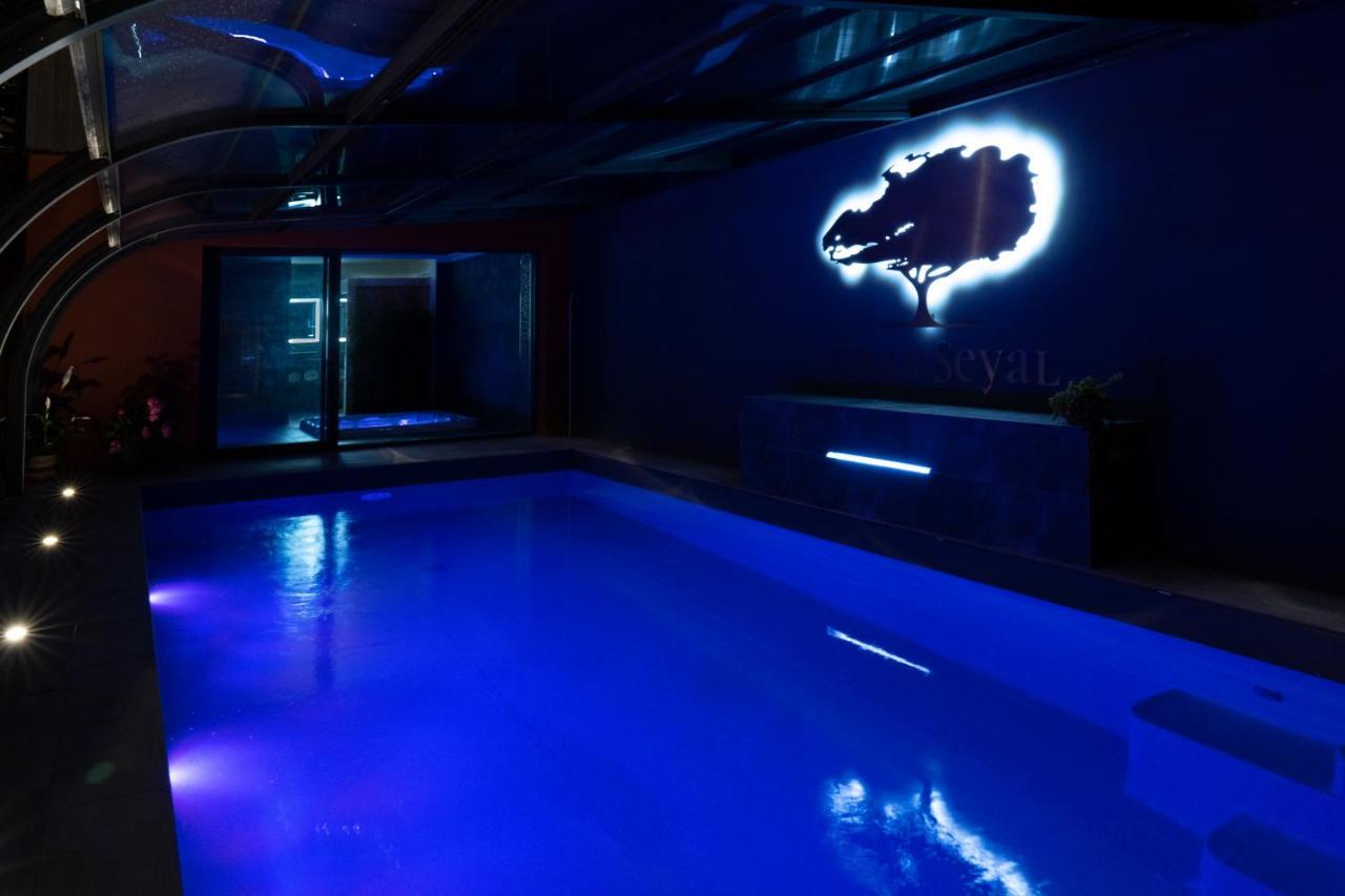 Villa Seyal - Avec Piscine - Jacuzzi - Sauna & Climatisation Le Mans Eksteriør bilde